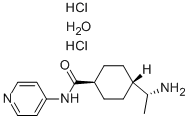 反-4-[(1R)-1-氨基乙基]-N-4-吡啶-環(huán)己甲酰胺鹽酸鹽